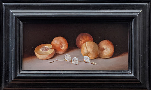 Apricots by Tanja Moderscheim