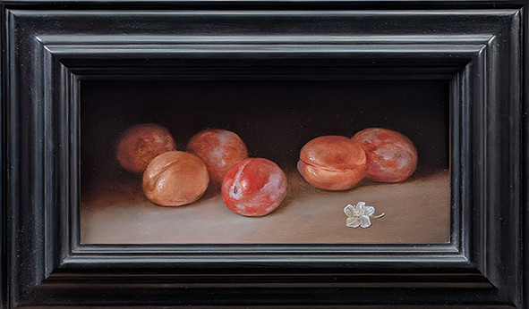 Plums by Tanja Moderscheim
